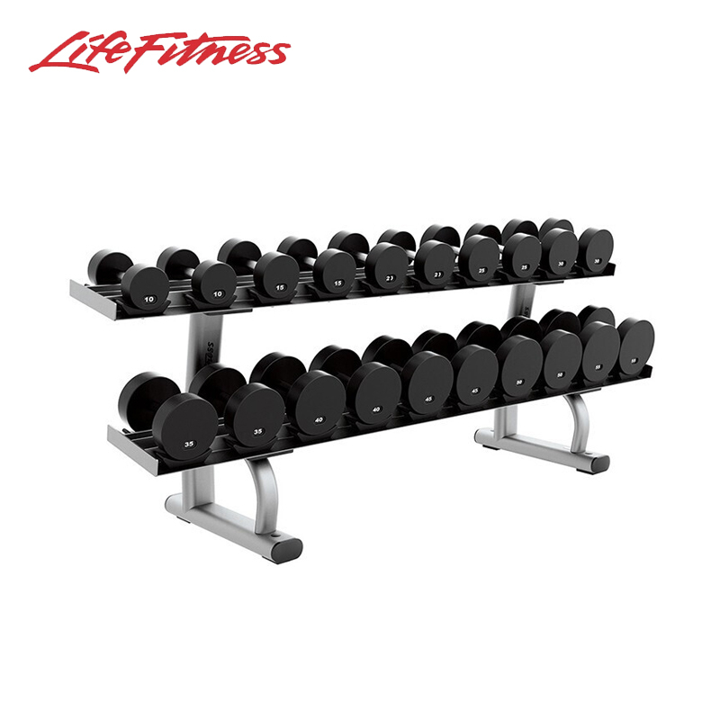 LifeFitness 力健 双层哑铃架（不含哑铃） 白金色